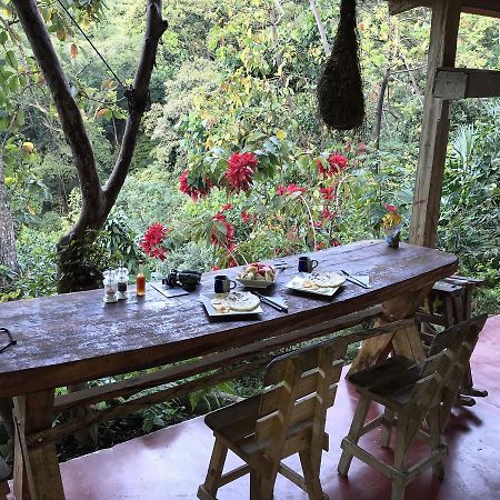 Finca San Rafael - Cafe Y Cacao Мінка Екстер'єр фото