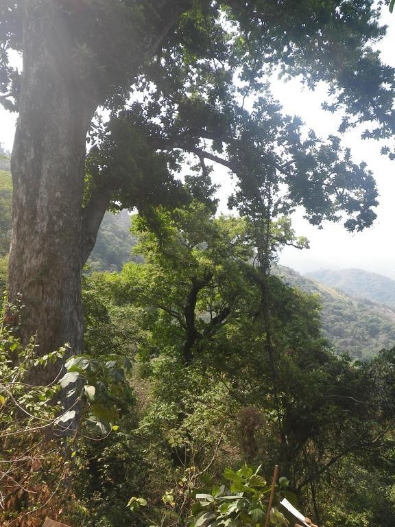 Finca San Rafael - Cafe Y Cacao Мінка Екстер'єр фото