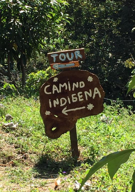 Finca San Rafael - Cafe Y Cacao Мінка Екстер'єр фото