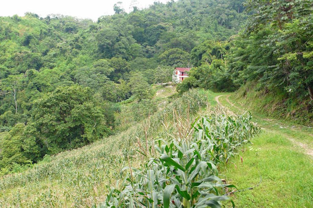 Finca San Rafael - Cafe Y Cacao Мінка Екстер'єр фото