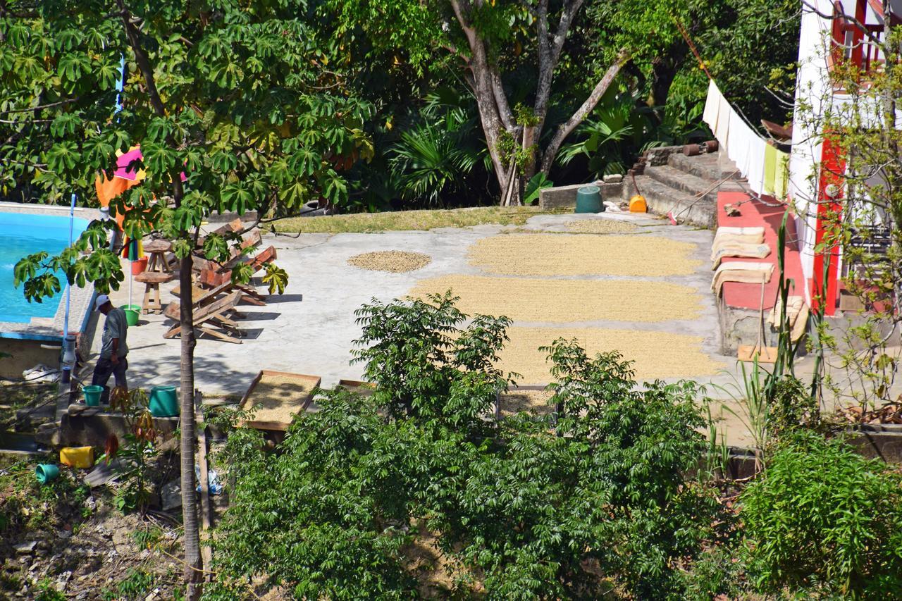 Finca San Rafael - Cafe Y Cacao Мінка Екстер'єр фото