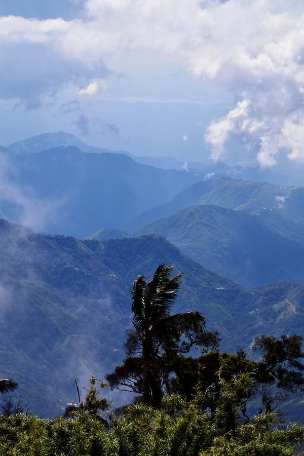 Finca San Rafael - Cafe Y Cacao Мінка Екстер'єр фото